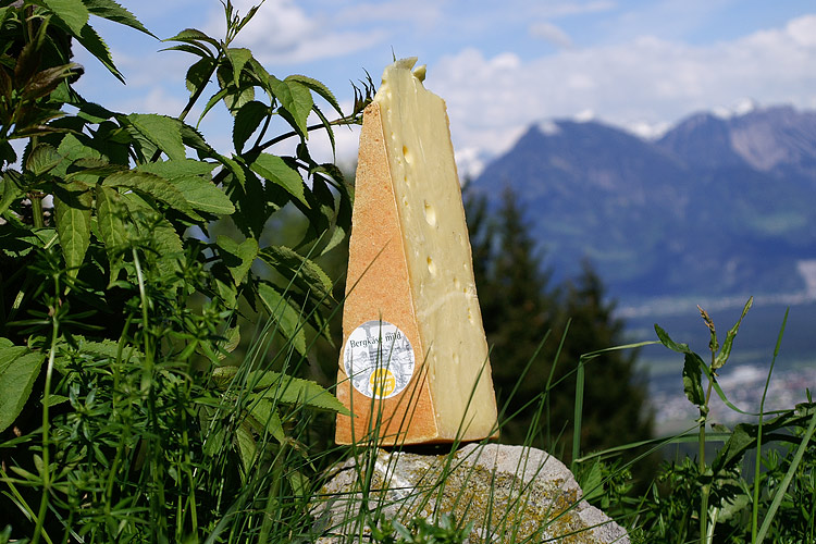 Milder Bergkäse