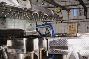 Käse Formpressen Käse Formpressen