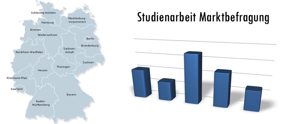 Studienarbeit Marktbefragung