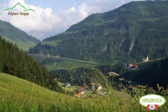 Heumilch Alpenwiese