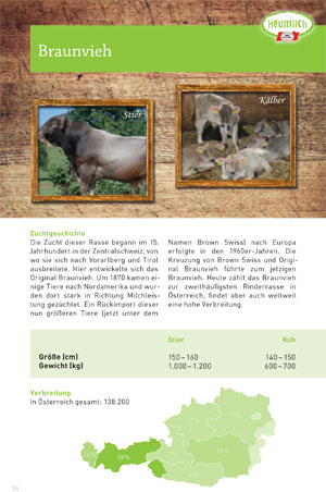 Braunvieh in Vorarlberg und Tirol