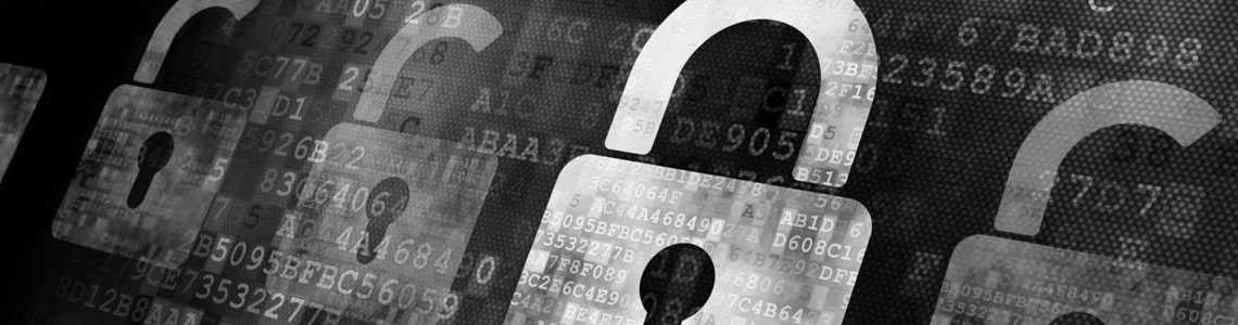 Sicherheit und SSL beim Alpen Sepp