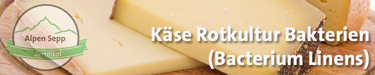 Käse Rotkultur Bakterien (Bacterium Linens) im Käse Wiki vom Alpen Sepp