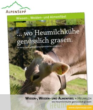 Wiesenfibel, Weidenfibel und Almenfibel ... wo Heumilchkühe genüsslich grasen. (Download)