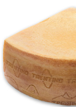 Käse Trentingrana - Grana Padano Trentino D.O.P. - 36 Monate gereift. Ähnlich Parmesan.