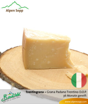 Käse Trentingrana - Grana Padano Trentino D.O.P. - 36 Monate gereift. Ähnlich Parmesan.