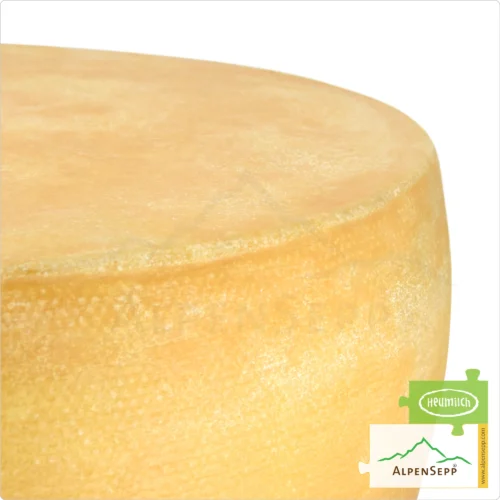 SENN ALMKÄSE würzig Käselaib | Laktosefreier Heumilch Käse | 8,1 kg Käserad 6 SENN ALMKÄSE würzig Käselaib | Laktosefreier Heumilch Käse | 6 kg Käserad