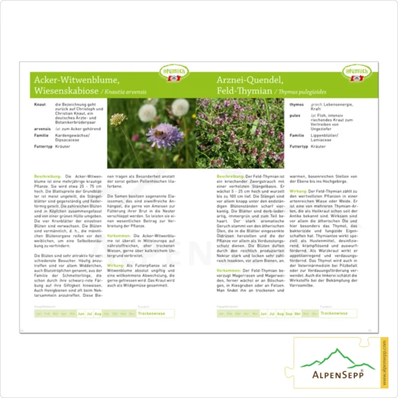 Gräser- und Kräuterfibel ... was Heumilch­kühen schmeckt. | Fibel | Download (PDF/eBook)