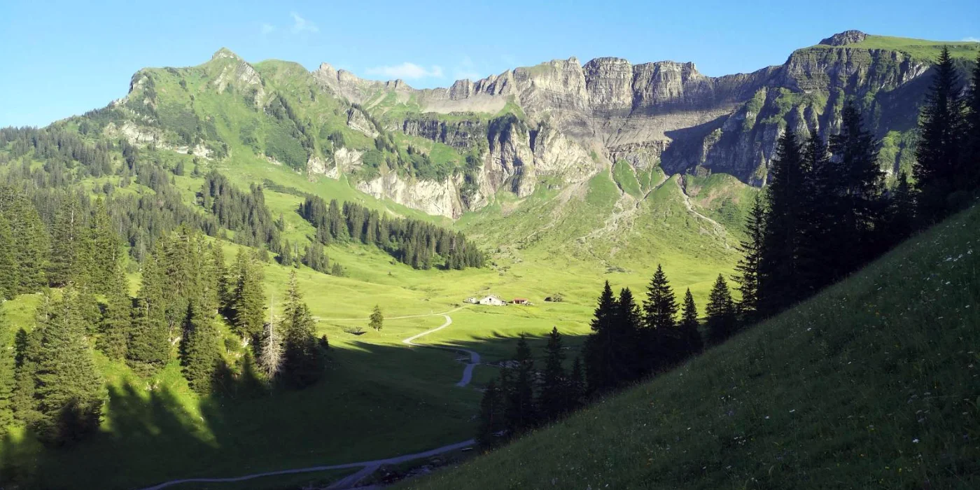 Bergkäse, Käse, Wurst, Wildwurst Shop | Hallo bei AlpenSepp 4 Startseite Bild Header